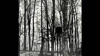 Celebrity The Shadow Will Fall Profile