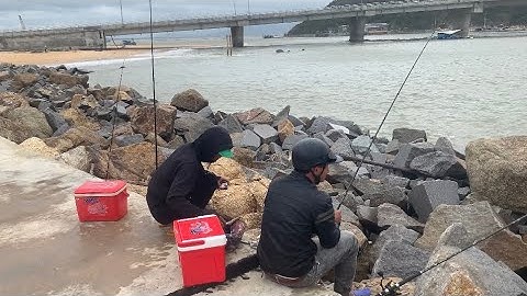 Câu Cá Bờ Kè Hôm Nay | Cần Thủ Thất Thủ, Cá Không Cắn Câu