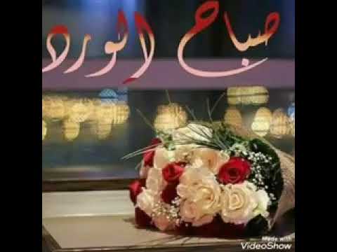 الفنان الشعبي قاصد المنياوي يا قهوجي باشا بشكل جديد كامله