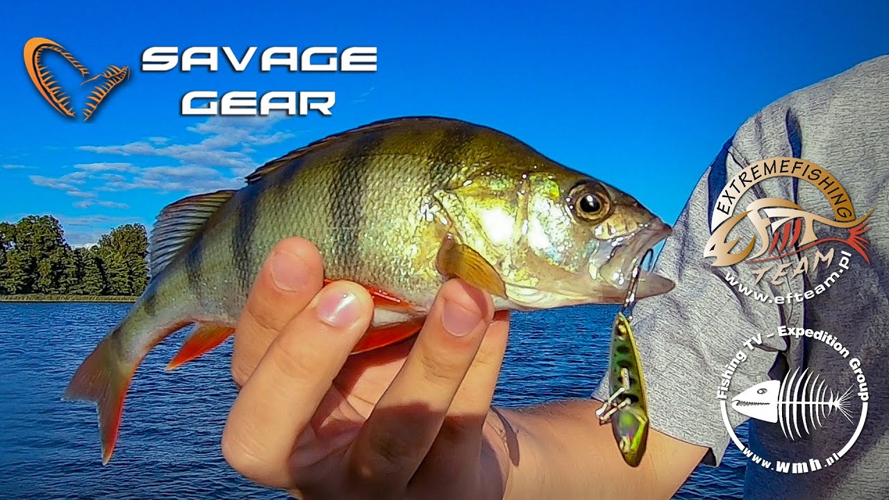 Savage Gear Switch Blade Minnow 11g Získejte slevu -5% za registraci v  e-shopu - Rybářské potřeby v Brně 