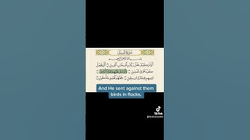 #سورة_ الفيل كاملة#الشيخ_الحصري#الحصري #قران#مترجم#للانجليزي#surah A—Feel#al_husary#quran#fyp