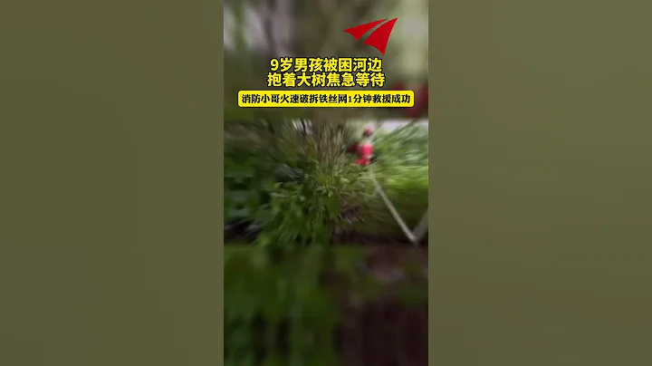 9岁男孩被困河边抱着大树焦急等待，消防小哥火速破拆铁丝网1分钟救援成功 #热点新闻事件#新闻#搞笑#真实事件#奇闻趣事#shorts - 天天要闻