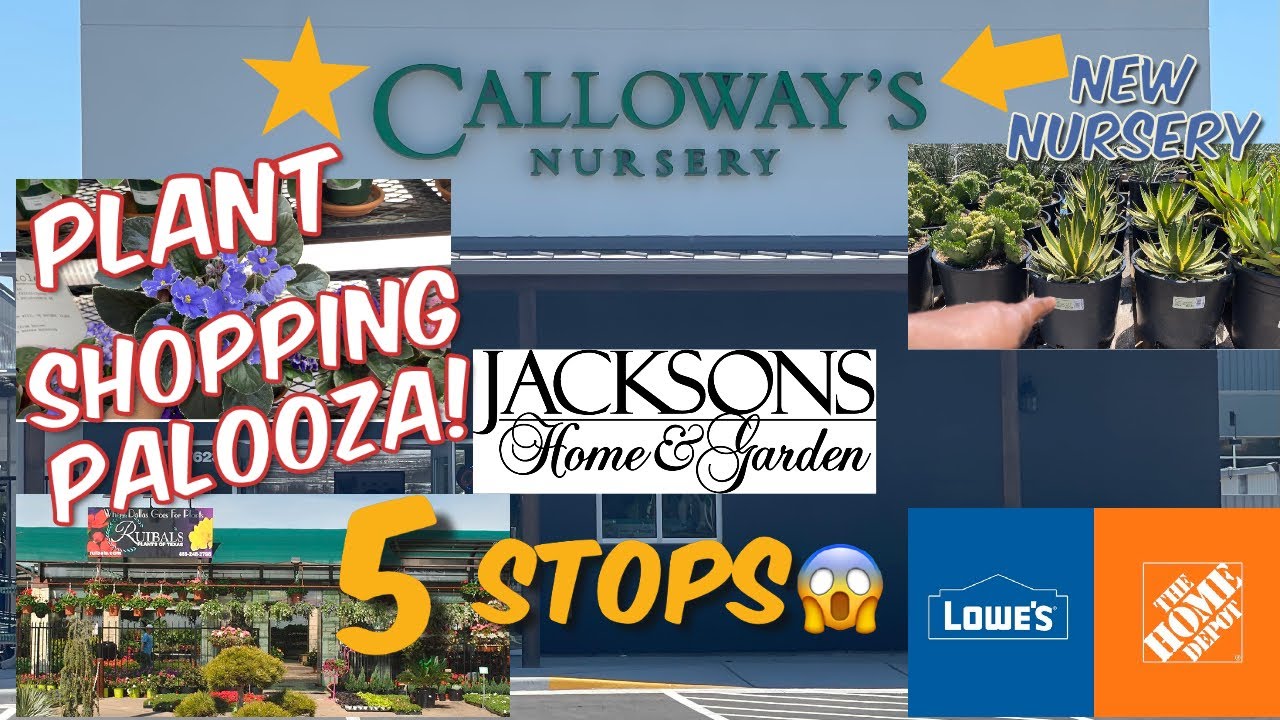 194 Plant Shopping Palooza! Grand Opening New Calloway’s +4 Other