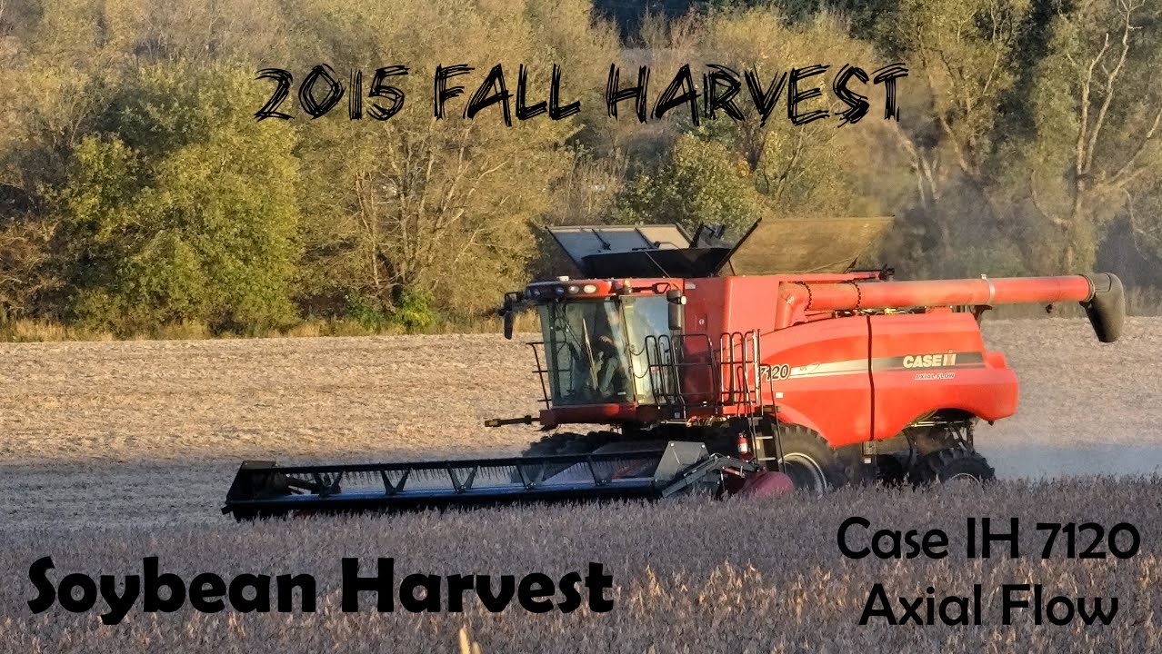 Sunset Soybean Harvest Case IH 7120 Axial Flow Combine YouTube