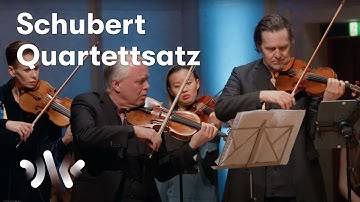 Schubert: String Quartet No. 12, D. 703 | Arvid Engegård & NCO