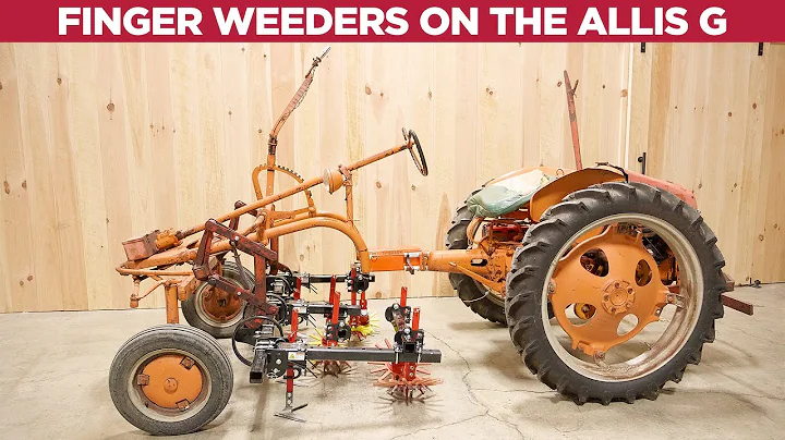 Dos and Dont's - Finger Weeding On The Allis Chalm...