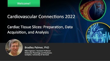 Cardiac Tissue Slices: Preparation, Data Acquisition, and Analysis