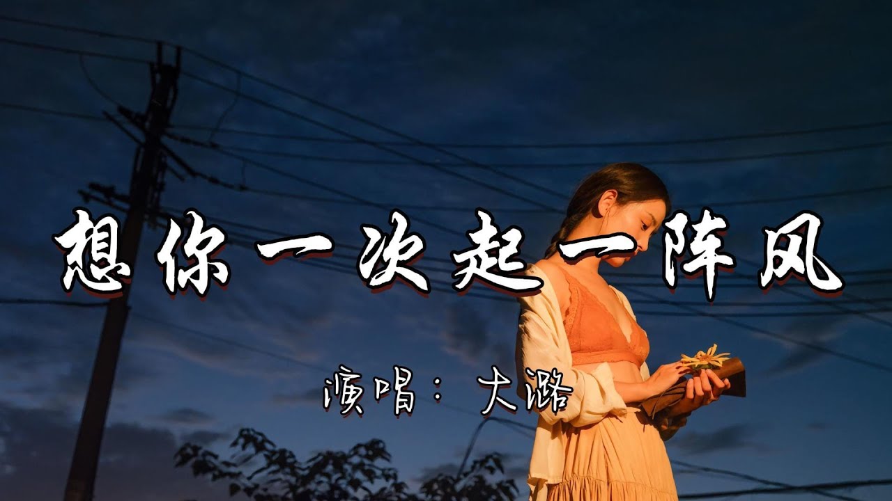 大潞 - 想你一次起一阵风『想你一次就起一阵风 你不会懂我思念汹涌 如今我们隔着山水重重 你是否已忘了过去种种。』『动态歌词MV』#经典老歌 #改编歌曲 #新歌更新 #分享