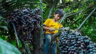 Orphan boy. Prepare rice to go to the forest. Harvest berries and bring them to the market to sell