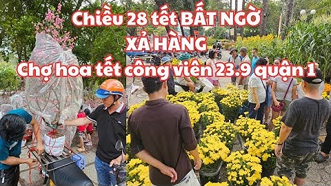 Chiều 28 tết, chợ hoa tết Công viên 23.9 quận 1: BẤT NGỜ! XẢ HÀNG RỒI, ĐÀO CHẶT CÀNH, Cúc đẹp 90k!