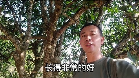 好，您喝过吗？