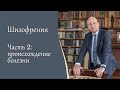 Шизофрения,  2 ч.  Происхождение болезни