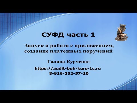 СУФД часть 1, запуск и работа с приложением, создание платежек