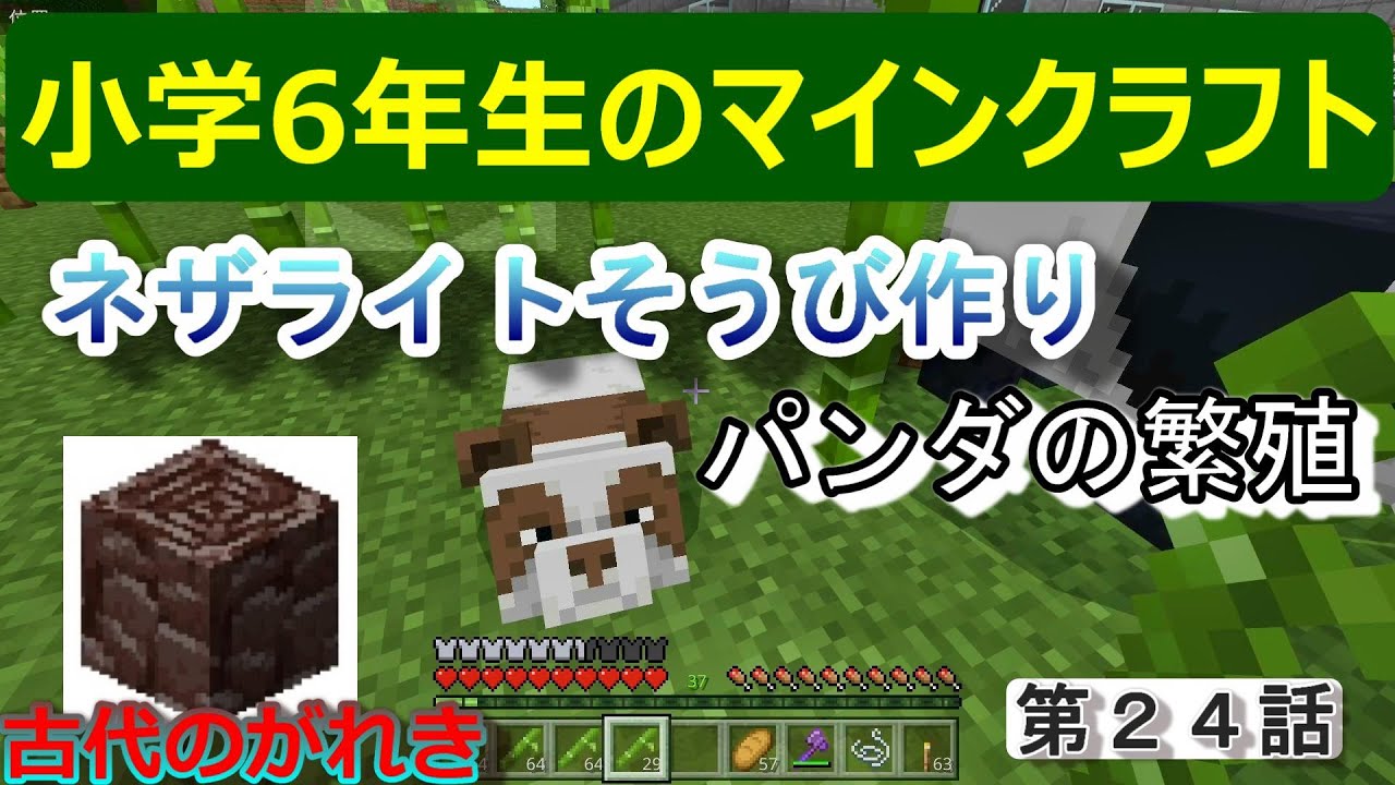 小学生のマイクラ 24話 古代のがれきでネザライトそうび作り パンダの繁殖 Minecraft Youtube