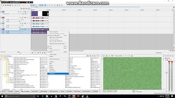 How to Make Disgusted Effect on Sony Vegas