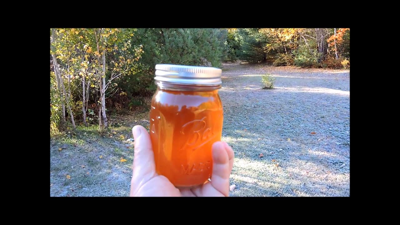 Home made Maple syrup YouTube