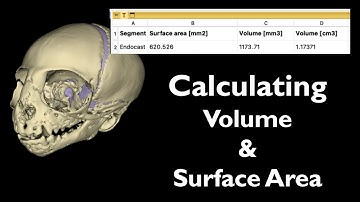 Calculating Volume & Surface Area   [3D Slicer Workflow]