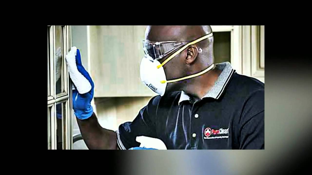 water removal orlando florida