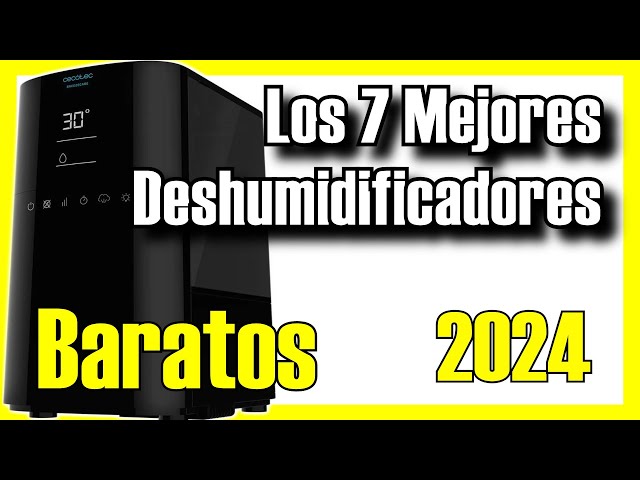 Cecotec, Comfee o Rowenta: los mejores deshumidificadores para hogares de  hasta 70 metros cuadrados, Escaparate: compras y ofertas