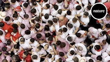 Crowd crush: Could fluid dynamics save lives?