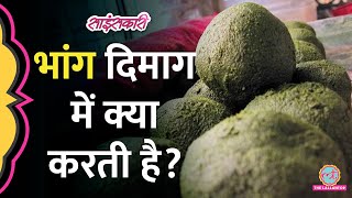 होली पर Bhang छानने से पहले उसके पीछे की पूरी Science समझ लें| Cannabis #Sciencekaari