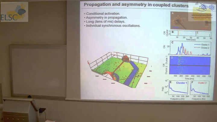 ELSC-ICNC Seminar: Mark Shein-Idelson