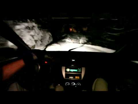 Mitsubishi Evo IX - snow drift