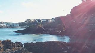 ISE Waterford - 01