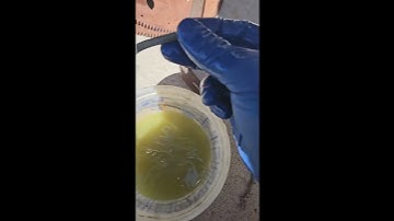 Easy rust removal with oxalic acid and ultrasonic cleaner #shorts #rustremoval #restoration