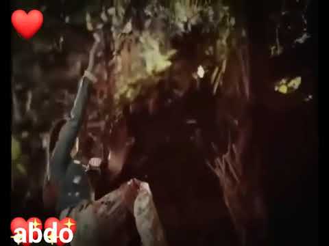 اجمل ماغني الفنان هاني شاكر خايف بكرا يجينا رومنسيه جدآ
