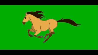 Horse Green Screen Video