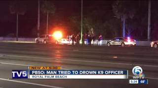 PBSO: Man tried to drown K9 officer
