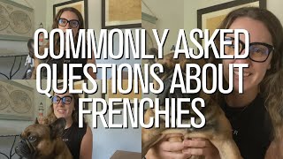 Frequently Asked Questions About French Bulldogs