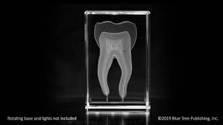 Tooth Crystal Art