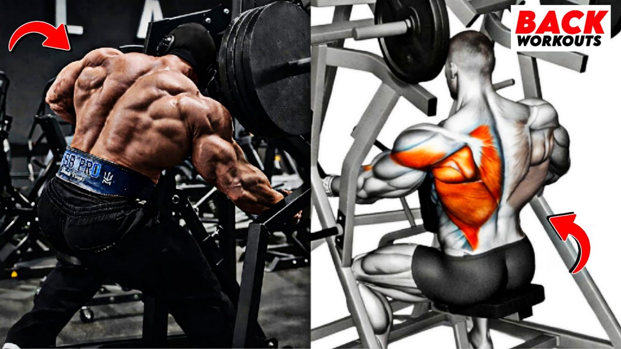 8 лучших упражнений для спины, которые придадут мышцам огромную ширину, толщину и силу 🔥