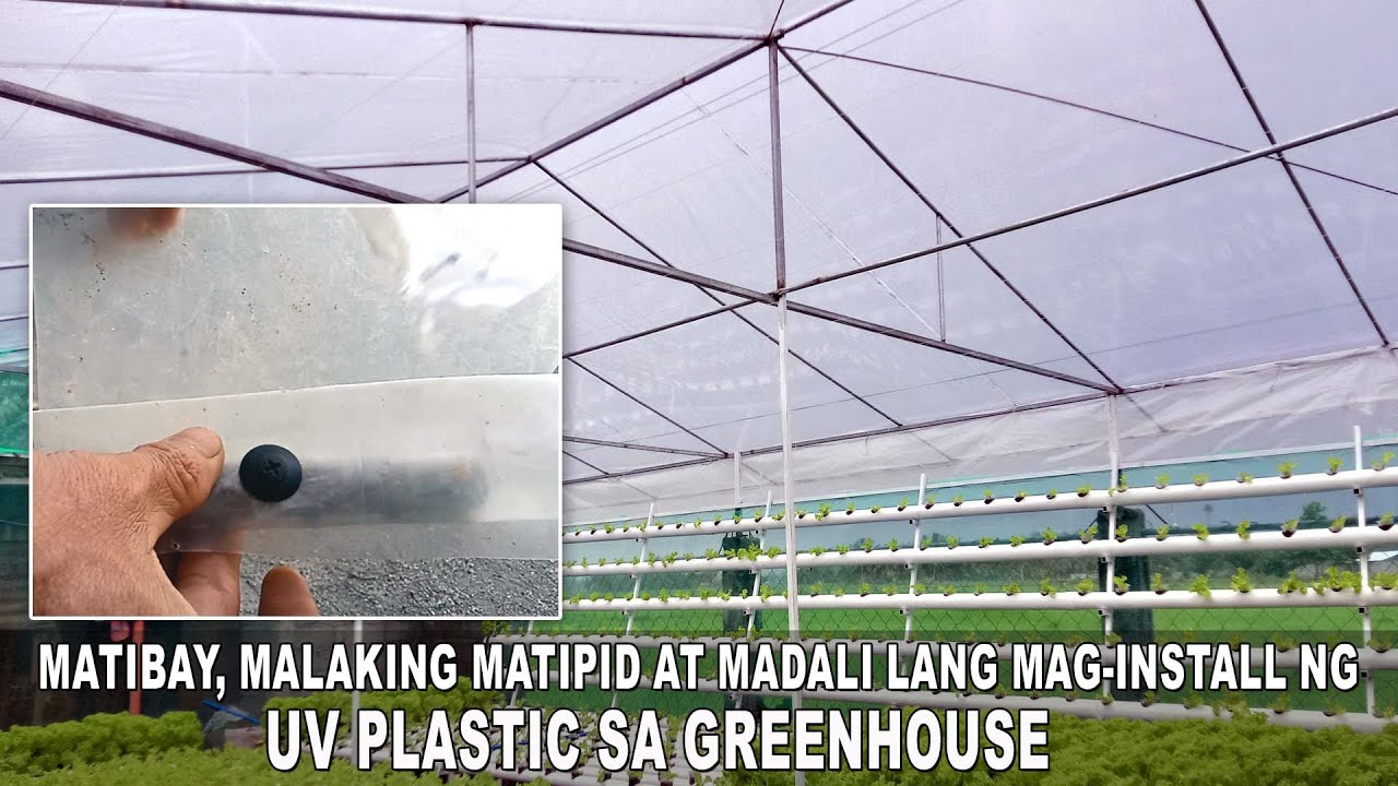 How I installed UV Plastic in my Greenhouse Hydroponic Farming at home - Explained in Filipino