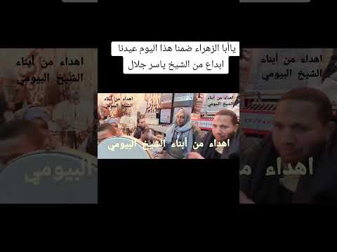 الشيخ ياسر جلال ذكي قصيده ياأبا الزهراء ضمنا