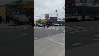 Phat Papi Spots Another Victim, This Time Brooklyn New York