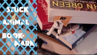 Stuck animal bookmark - DIY