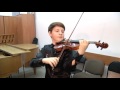 Скрипач привёз в Астрахань скрипку стоимостью в 1,7 миллиона рублей