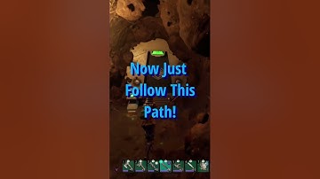 Best Scarab/Twinkling Shell Location!