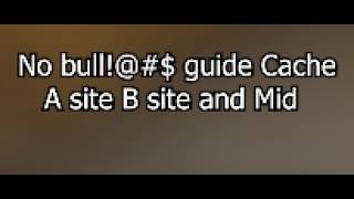 No Bull!@#$ guide | Cache A Site B site and Mid flashes and mollies