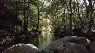 Gennady Tkachenko Papizh Sound of The Earth Mediation Music For Relaxation 2020 screenshot 2