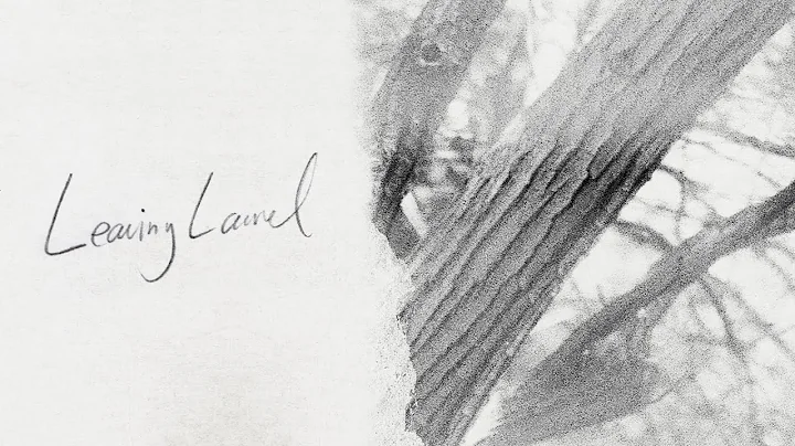 Leaving Laurel - Leaving Laurel (Continuous Mix an...