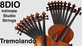 Intimate Studio Strings by 8Dio - Demo of all the presets: Traditional Tremolando (2022)