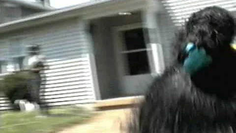 kennesha jones running trying to stay dry