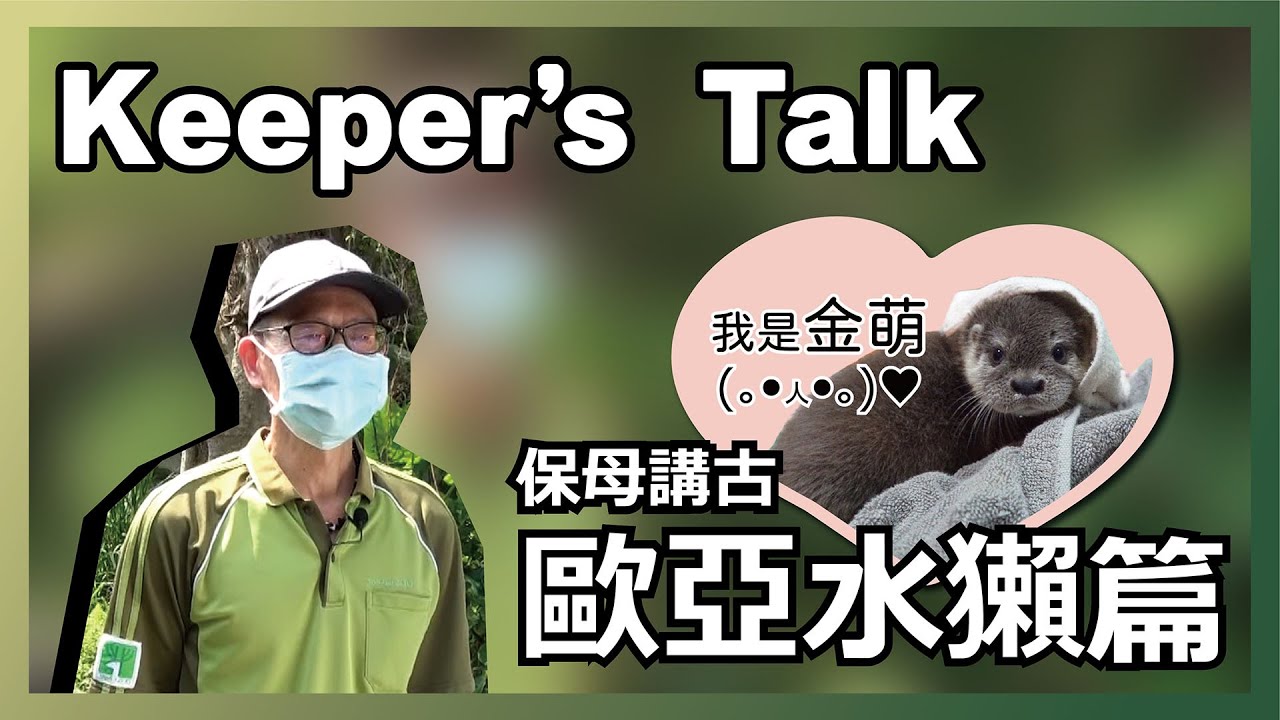 【Keeper's Talk Online】-「歐亞水獺篇」