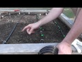 Installing a Drip Irrigation System for Raised Beds