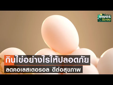 กินไข่อย่างไรให้ปลอดภัย  ลดคอเลสเตอรอลดีต่อสุขภาพ | เกษตรนิวเจน