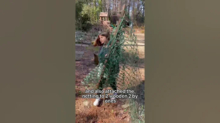 How we free range our chickens (and still keep the garden safe)